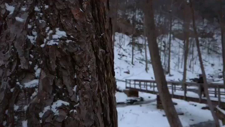 #TiffanyFalls near #Toronto is magical this time of year https://bit.ly/2SLHUpA #HamOnt