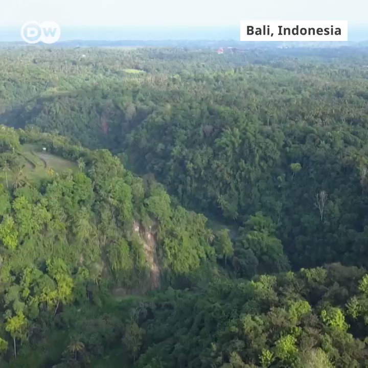 In this Indonesian village 44 out of 3,000 people are deaf.
So most people learn sign language to communicate with their neighbors.
#DWStories