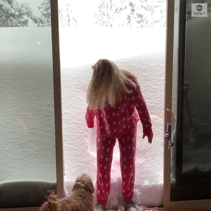 "It looks so inviting!" When a woman in California saw a giant mound of fresh snow outside her home, she couldn't resist making a snow angel. https://abcn.ws/2E1ZoUK