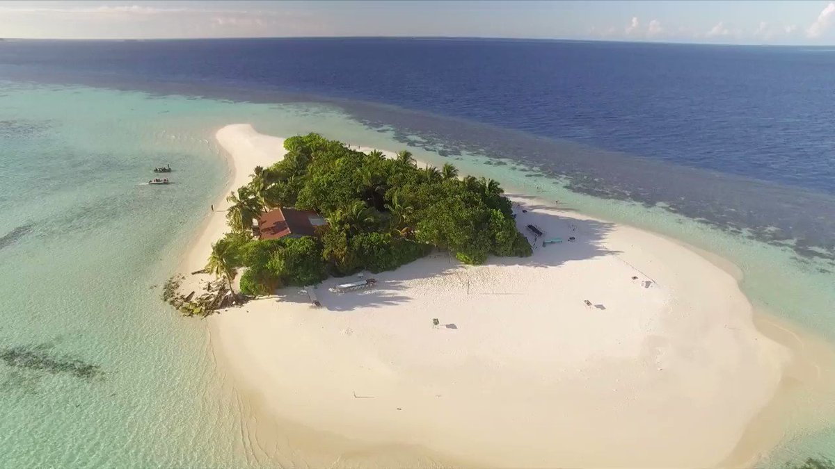 Sun. Sea. Sand. @jackwhitehall. What more could you want? Welcome to BRYT Festival, enjoy your cheese sandwich ๐ด