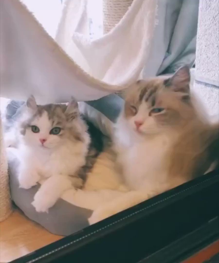 The look of love
is in your eyes.