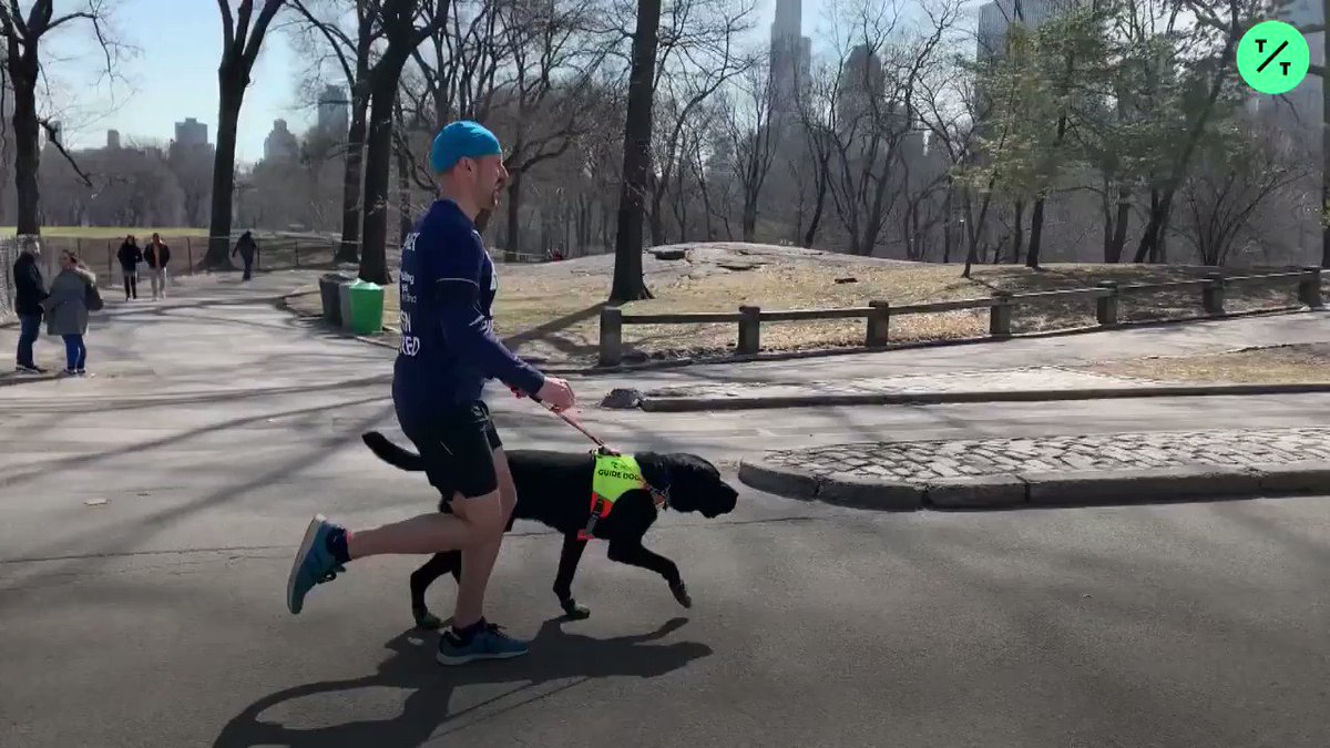 The New York City Half Marathon is this Sunday and Thomas Panek will become the first blind person to run the race led completely by guide dogs