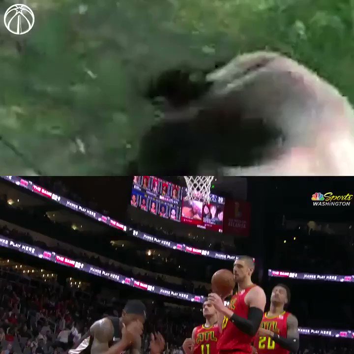 Happy #NationalPandaDay from our 🐼 to yours!
#DCFamily