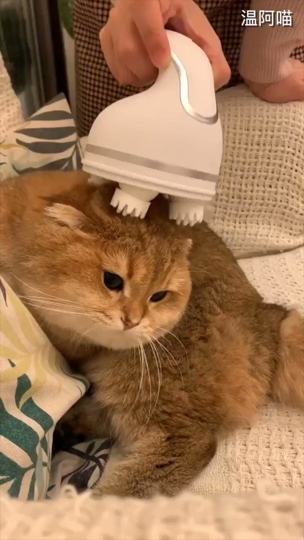 How to handle a Flerken