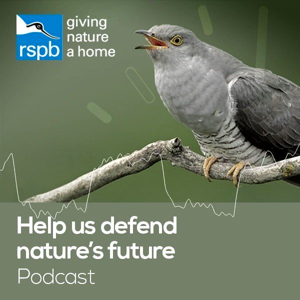 "As young people around the world raise their voices against climate change, what environmental legacy will we be leaving to the next generation" Tune into our latest #podcast, http://natu.re/h07Nxh and now available on Spotify! 🎧🔊