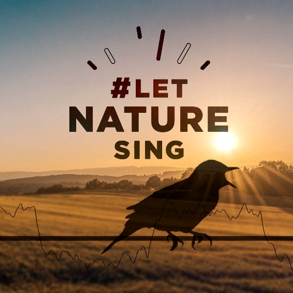 Skylarks will start to sing from well before dawn and continue until well after dusk, with the intention of attracting a mate. Hear their wonderful song whenever with our bird song single, pre-order here: http://natu.re/2Rxcrz 🐦🎼🎶🎵 #LetNatureSing