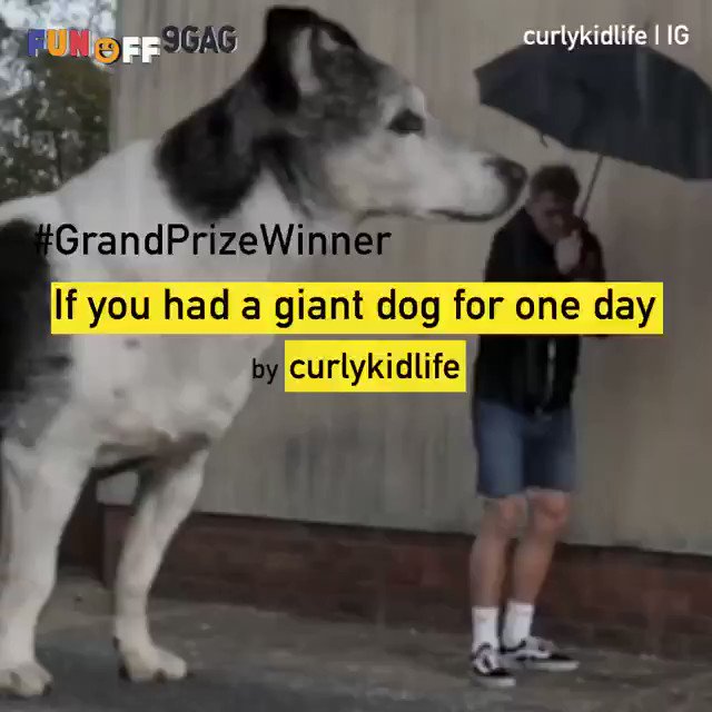 9GAG Fun Off Season 3 came to an end. Thank you all for joining. We have finally chosen the Grand Prize Winner!
Congratulations to @Curlykidlife on winning our USD$10,000 grand prize with his video “If you had a giant dog for one day!”
-
Music by Markvard: https://soundcloud.com/markvard