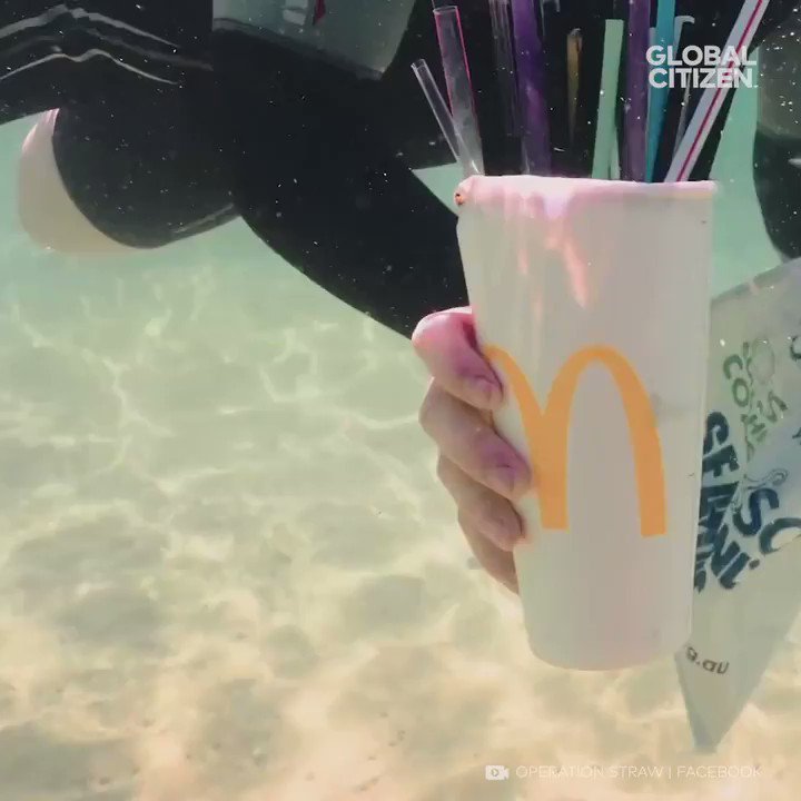 #BreakFreeFromPlastic Switch from a plastic straw to a sustainable paper straw!