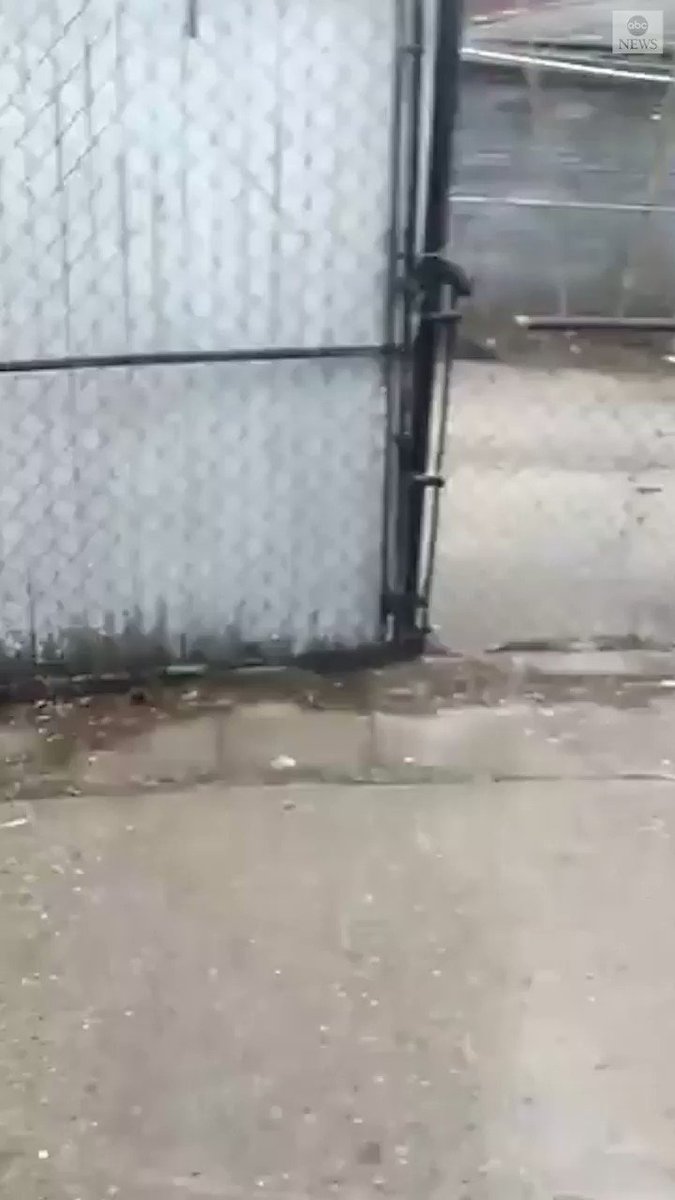 "Oh my God, it's moving. And it's huge."
Neighbors watched an enormous snake as it moved on top of a garage roof until its owner returned home. Watch the intense moment that he climbed onto the roof to bring it back down to safety.