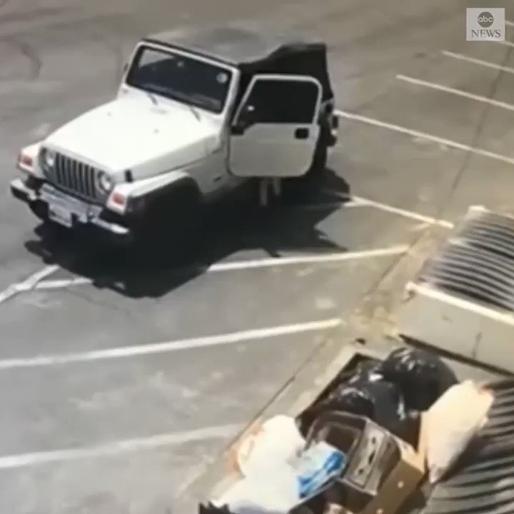 Authorities in Southern California trying to identify woman seen on surveillance video tossing seven newborn puppies into dumpster.
Officials say a man who was rummaging through the dumpster spotted the puppies and saved their lives. https://abcn.ws/2ZsxlHG