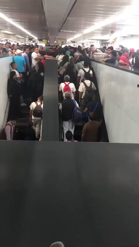 Te amo, México. 🤣🤣🤣🤣🇲🇽