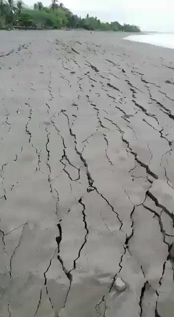 Ενσωματωμένο βίντεο