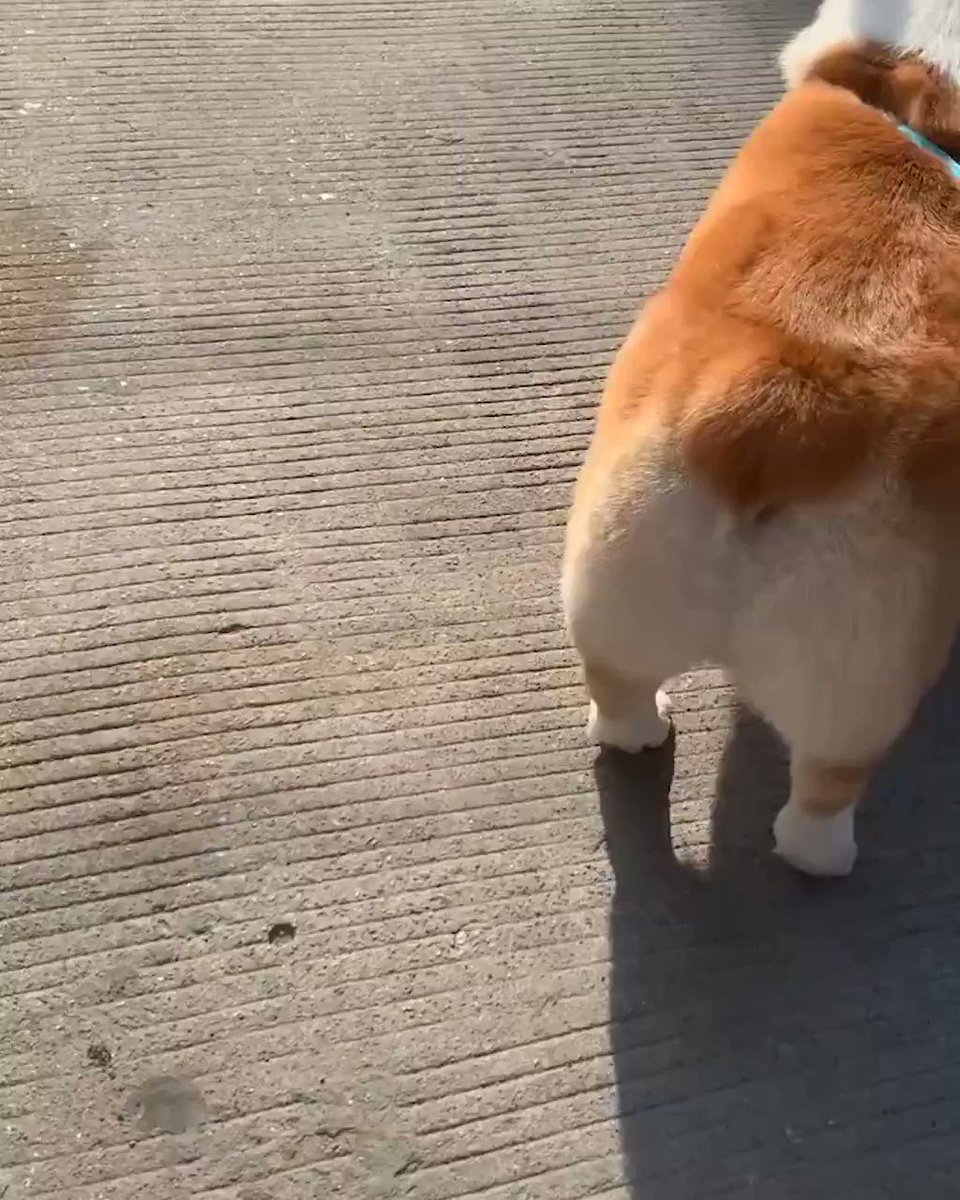 The butt we cannot stop staring at