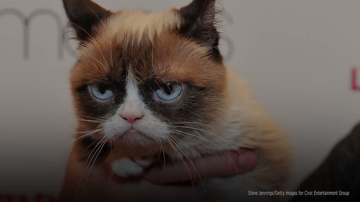 NPR's photo on Rest In Peace