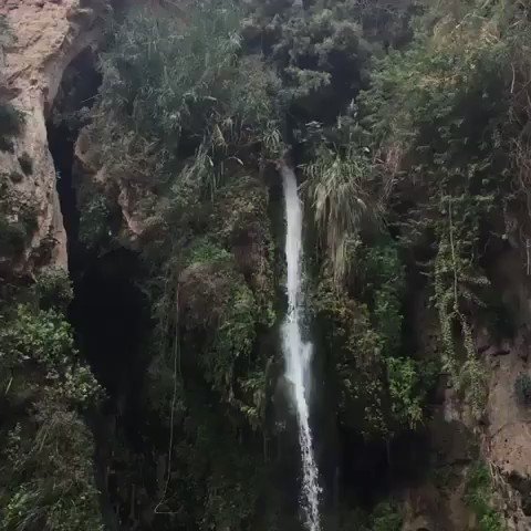 The David Falls in Judean Desert.
It is named after King David, who escaped Saul's pursuit at this site in Ein Gedi. #Israel
