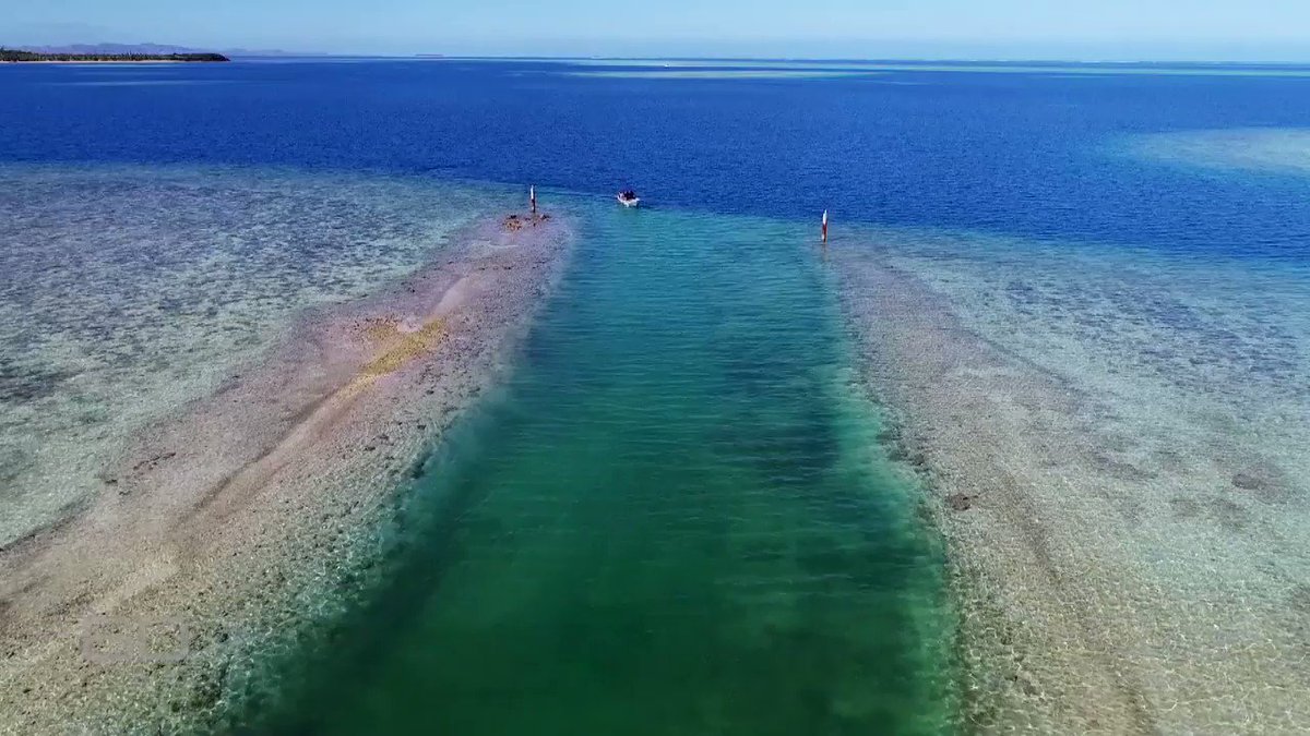 60 Minutes Australia's photo on Australians