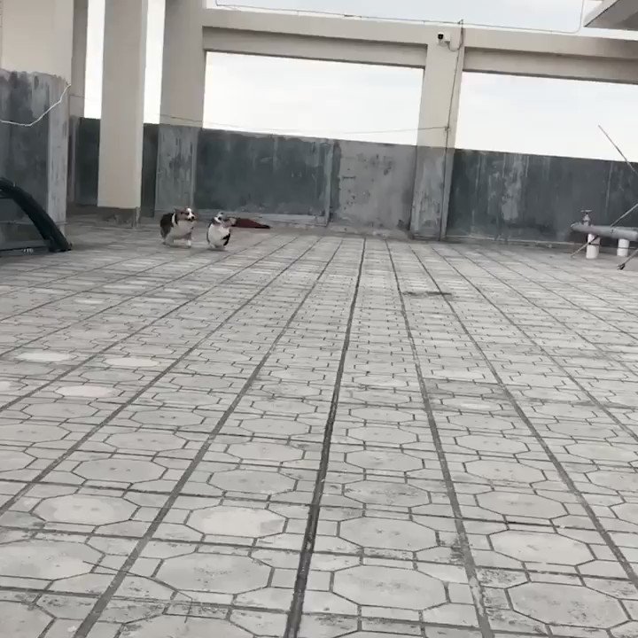 Branch Manager and Assistant to the Branch Manager