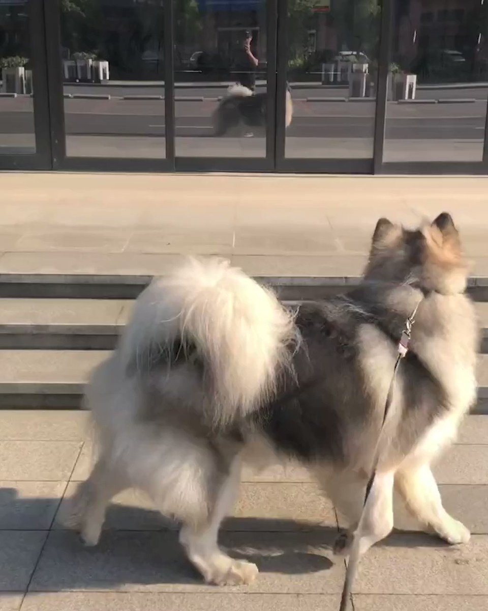 Who's the handsome boi?