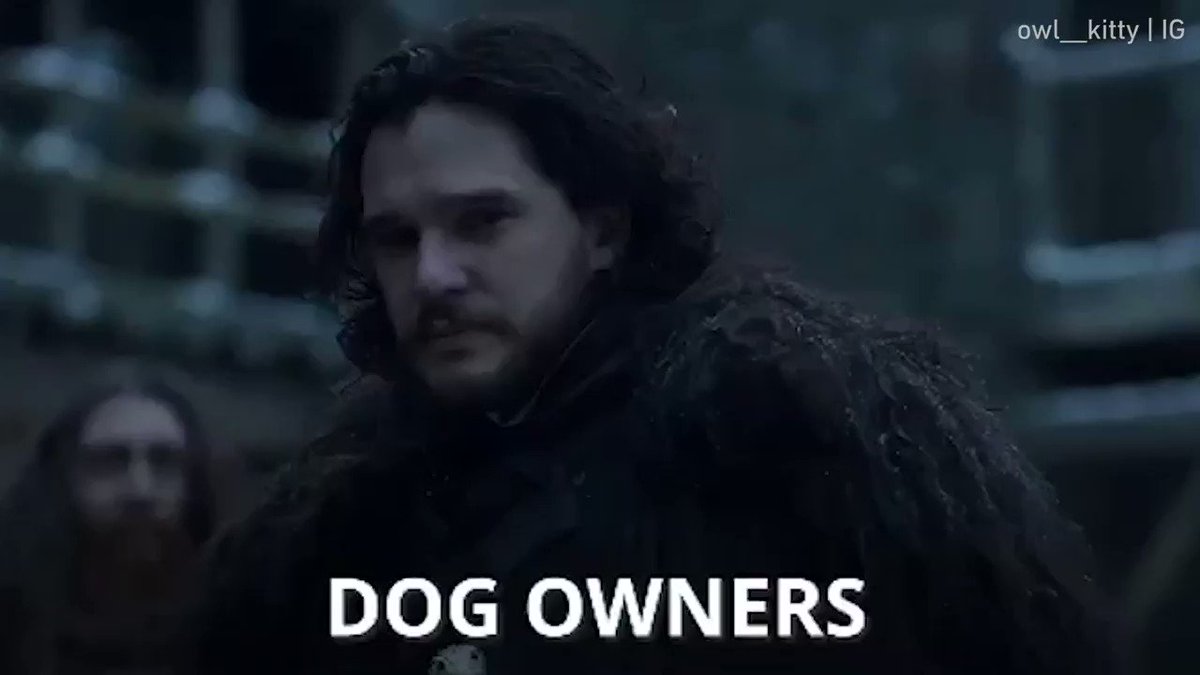 Coming home to a dog VS to a cat@owl__kitty