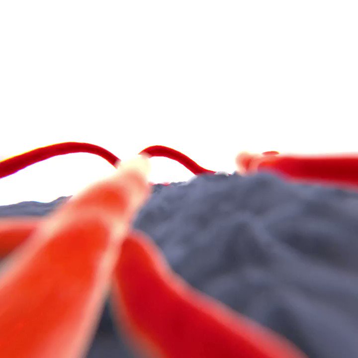Ebola infiltrates cells, hijacks them, and replicates... fast. The #HotZone premieres on National Geographic on May 27th