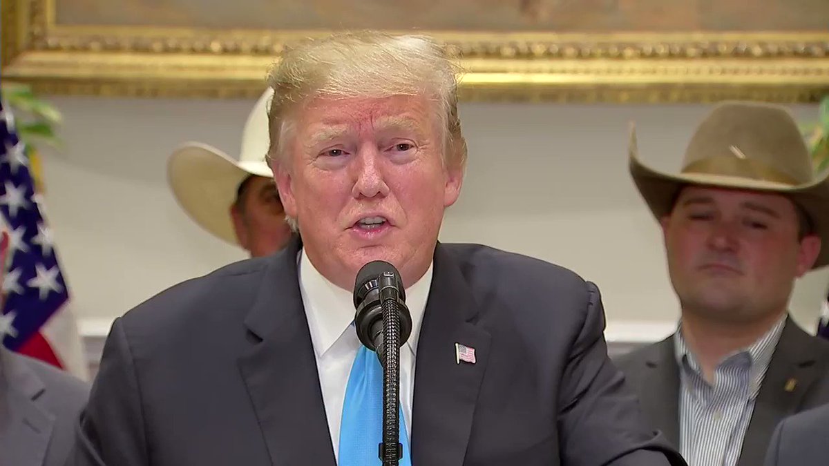 President Trump: "I'm an extremely stable genius."