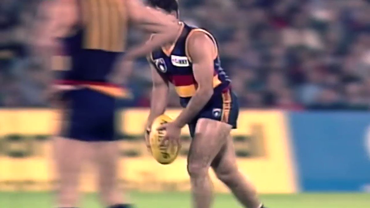 Adelaide Crows's photo on #weflyasone