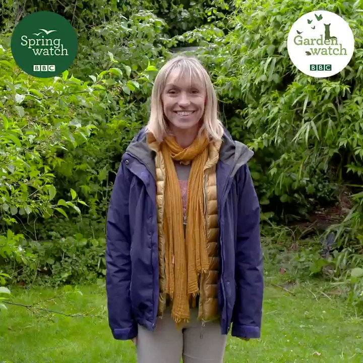 It's the moment we have all been waiting for! #GardenWatch is here! 🐸🐝
This #Springwatch we are launching the BIGGEST citizen science project we have EVER attempted about gardens! 🌷🐛🐌
Hit the link & help us build a better future for UK wildlife!👇
https://www.bbc.co.uk/programmes/articles/4gjThGt61ndDfXqcWL04rqn/gardenwatch-our-biggest-citizen-science-project-yet?fbclid=IwAR2Vt56PVSLa4ok9bTY0zimMsYZddFS0IHZkJMiSOipD4q3TNPdWnaeCVdE …