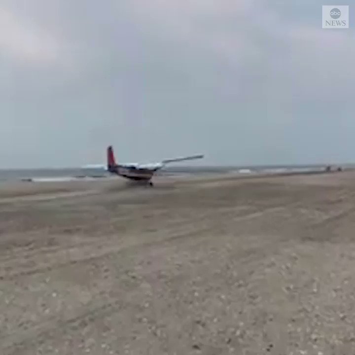 short nose only rescue team short nose only rescue team