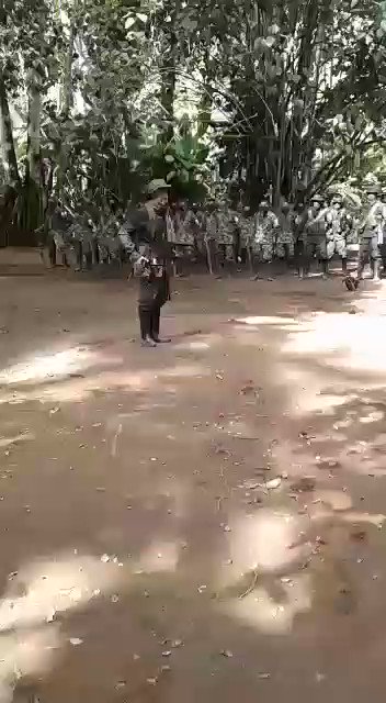 Video insertado