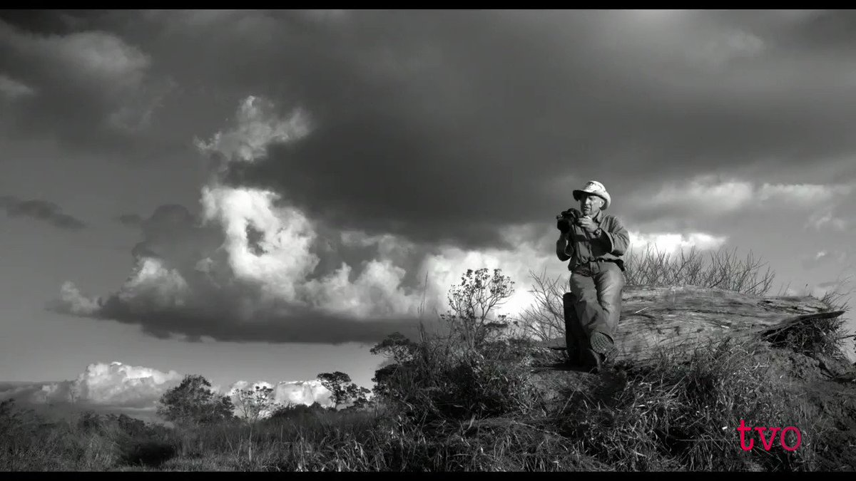 For 40 years, Brazilian photographer Sebastião Salgado has traveled across the continents in the footsteps of humanity. Watch “Salt of the Earth” tonight at 9 pm on @TVO.