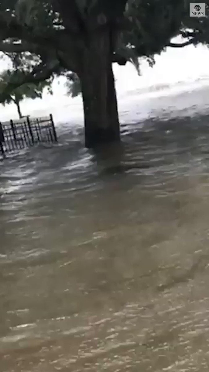 STORM SURGE: Residents wade through floodwaters when Lake Pontchartrain pushed past its shorelines after Tropical Storm Barry made landfall. https://abcn.ws/2jMdW4E