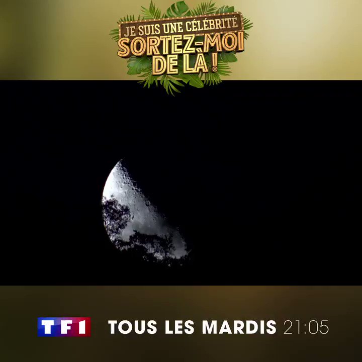 #SortezMoiDeLà
La semaine prochaine, c’est la crise sur le camp ! 😩
Les célébrités sont en manque de nourriture et cela risque de fortement les pénaliser pour les épreuves...
📅 Comment vont-elles s’en sortir ? RDV Mardi 23/07 à 21h05