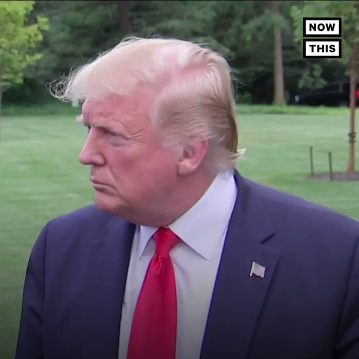 Trump just brought up a far-right conspiracy theory that Rep. Ilhan Omar married her brother. There is no basis to this wild accusation