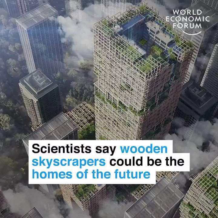 Building the future with 'plyscrapers'.
📕 Read more: https://wef.ch/2Y2bncO #sustainability #construction