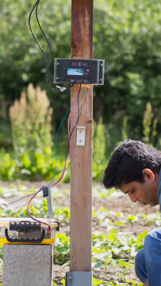 Why Microsoft’s Chief Environmental Officer thinks the world of AI for Earth: http://msft.it/6011TMGr9 #Microsoft #AI #Environment #green #sustainability #AIforEarth #recycling #climatechange