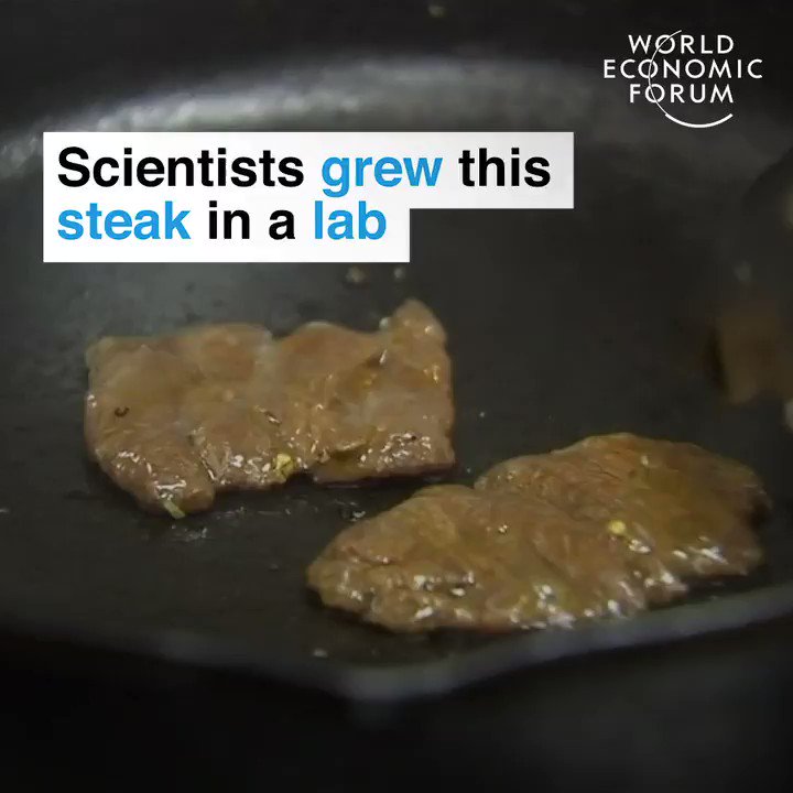 A rare steak.
For now.
📕 Read more: https://wef.ch/2JK8IjT