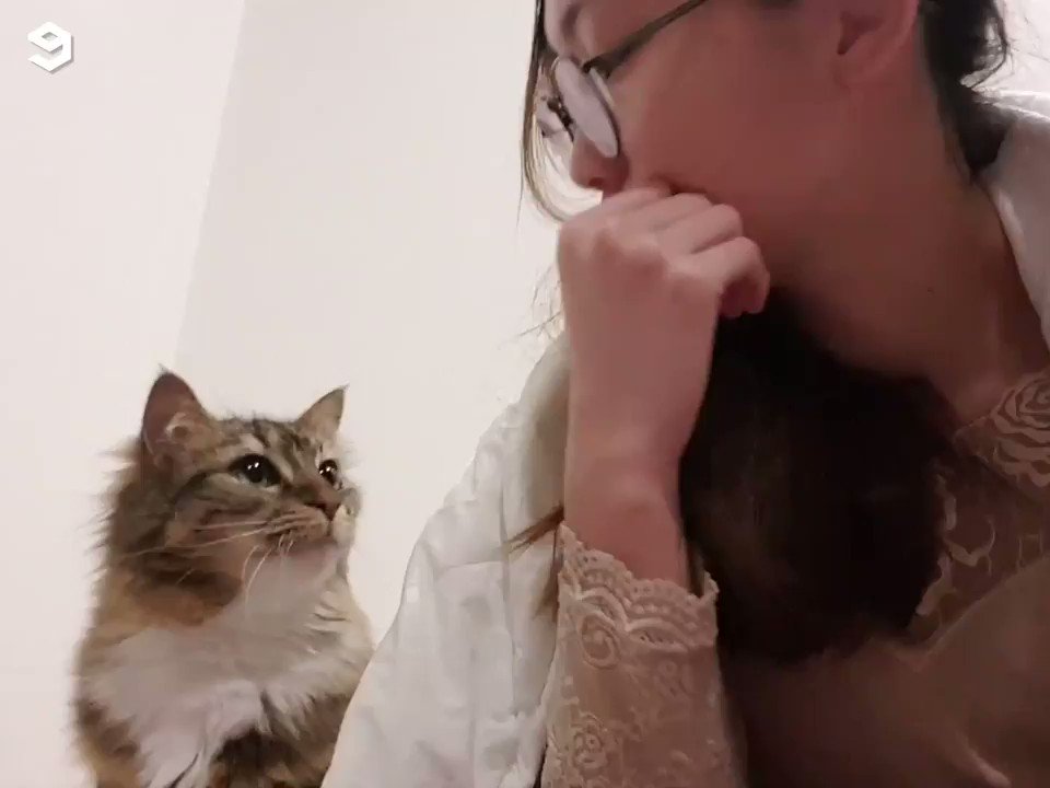 y u no luv me hooman📹 kitchimiaocat | IG