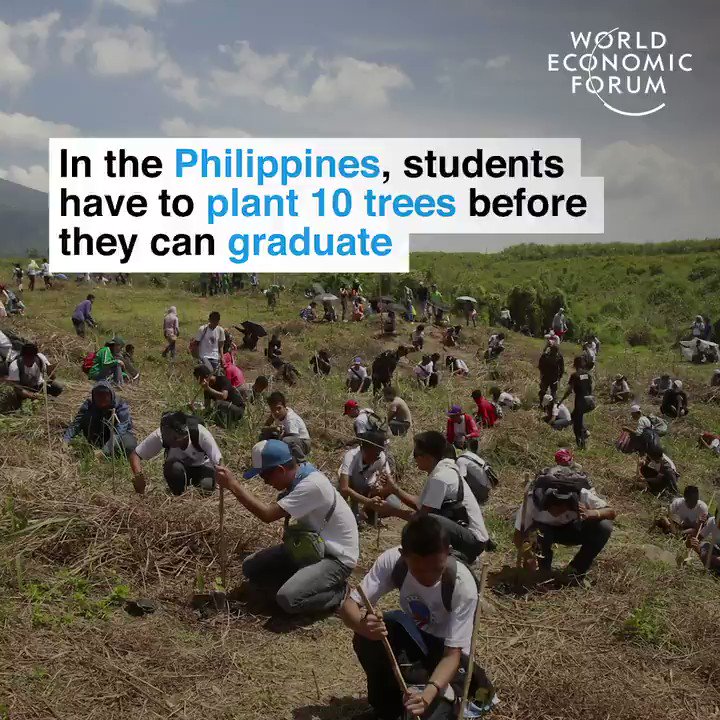 RT yographic39: In the Philippines, students have to plant 10 #Trees before they can #Graduate.
#ClimateAction #CleanAir #PlantTree #Forests #yogakc #IshaYogaKC #InnerEngineering #Yoga #Meditation
