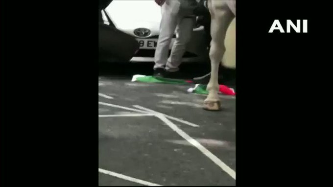 Embedded video