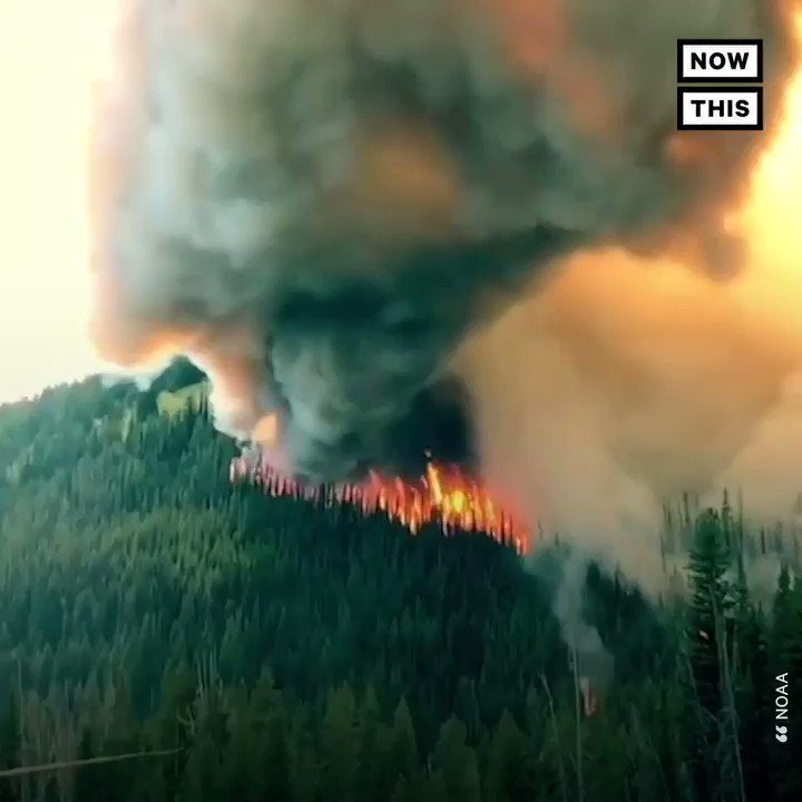 July 2019 was the hottest month ever recorded #ClimateStrike