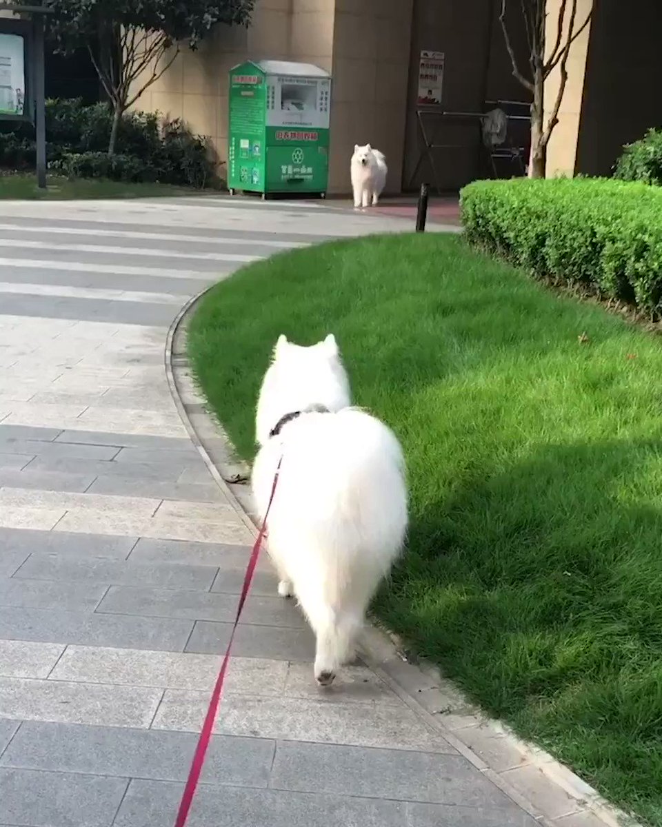 Love at first sight