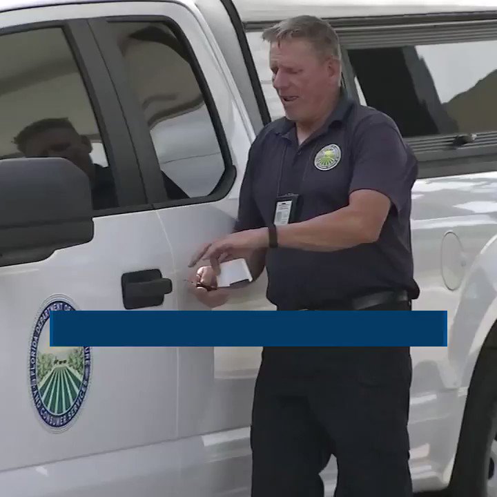 How To Tell If You Got Bad Gas In Car Classic Car Walls