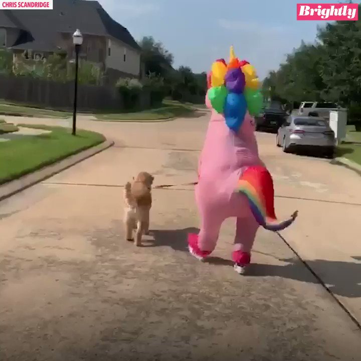 This daughter cracked up when her mom surprised her at bus stop dressed as unicorn! Here's why she did it: https://gma.abc/2kob1zm