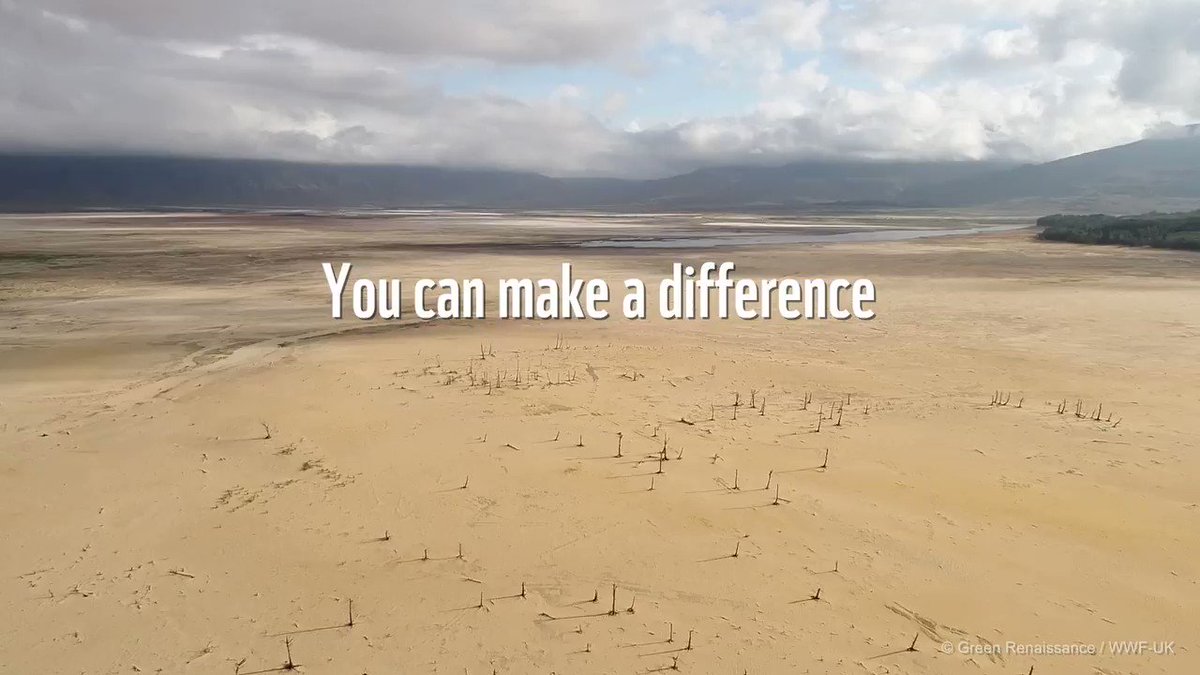 The pressure we are putting on our planet is unsustainable. World leaders need to unite to address this planetary emergency with a New Deal For Nature & People to reverse nature loss & the climate crisis. Become a champion for our planet & add your voice http://panda.org/voice_unga