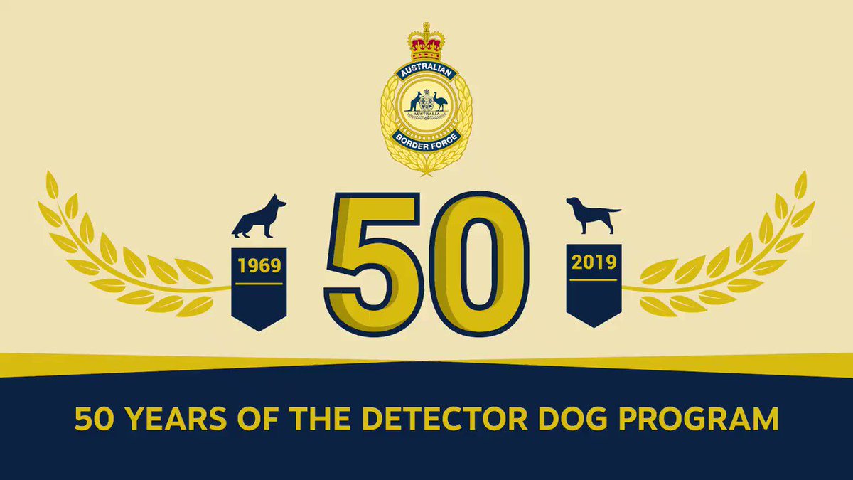 Abf On Twitter This Week We Celebrate 50 Years Of The Detector