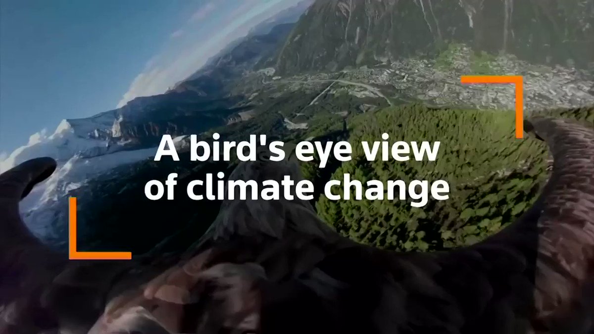 Equipped with a 360-degree camera mounted on his back, Victor the eagle is on a mission to raise awareness of climate change in the Alps https://reut.rs/2ME67sn