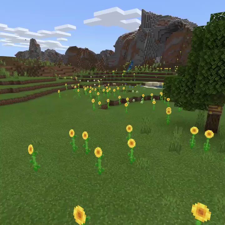 @Minecraft's photo on Supa