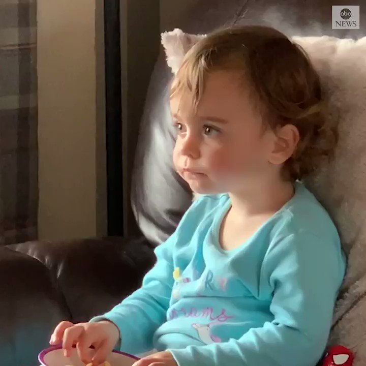 ABC News (@ABC) on Twitter photo 2019-10-11 14:09:46 HULK OUT: This Irish toddler doesn’t seem to approve of Bruce Banner’s tendency to lose his temper and turning irrational as The Hulk. abcn.ws/2VxaUQ9 HULK OUT: This Irish toddler doesn’t seem to approve of Bruce Banner’s tendency to lose his temper and turning irrational as The Hulk. abcn.ws/2VxaUQ9