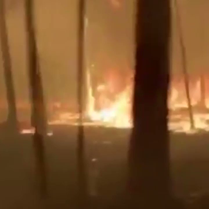 A series of "unprecedented" bushfires are raging through Australia's southeastern state of New South Wales, with more than 1,000 firefighters battling 17 emergency-level blazes and strong winds expected into the night. https://cnn.it/34JDQIg
