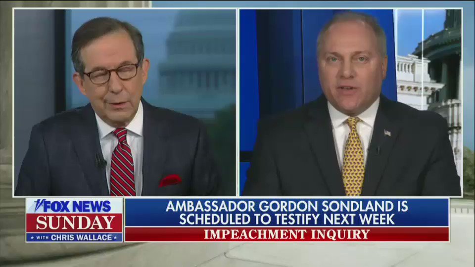 WALLACE: "A dozen people listened in on the phone call and a number of them were immediately upset..."@SteveScalise: "Those were Schiff's witnesses."WALLACE: "No, sir, they are career foreign service officers and these are people who worked in the Trump administration."